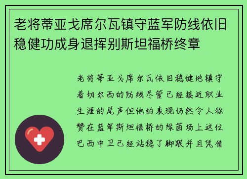 老将蒂亚戈席尔瓦镇守蓝军防线依旧稳健功成身退挥别斯坦福桥终章 老将蒂亚戈席尔瓦镇守蓝军防线依旧稳健功成身退挥别斯坦福桥终章